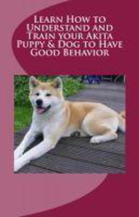 Learn How to Understand and Train your Akita Puppy & Dog to Have Good Behavior