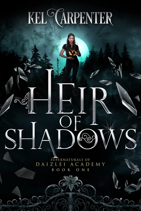 Supernaturals of Daizlei Academy 1 - Heir of Shadows