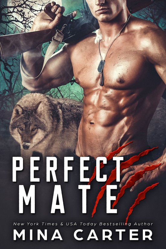 Project Rebellion 1 - Perfect Mate