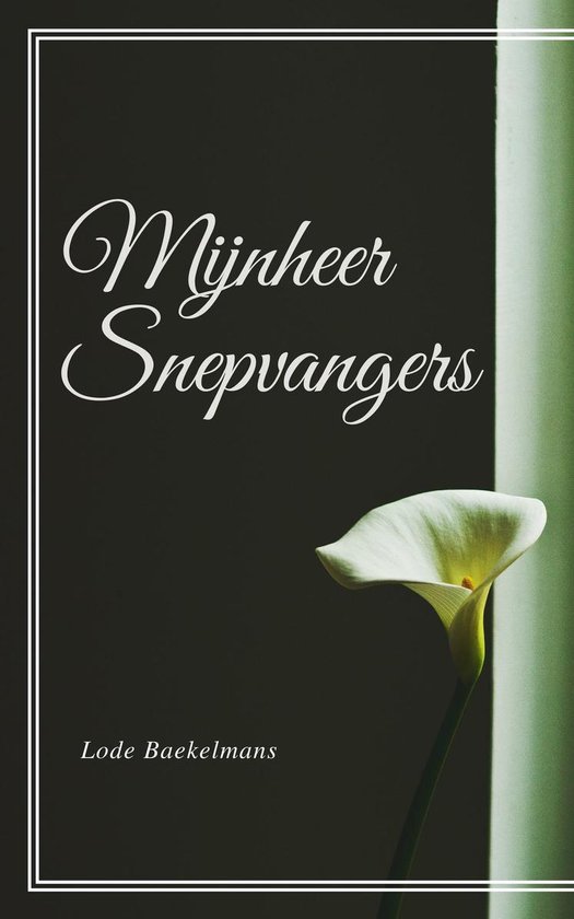 Mijnheer Snepvangers (Geïllustreerd)