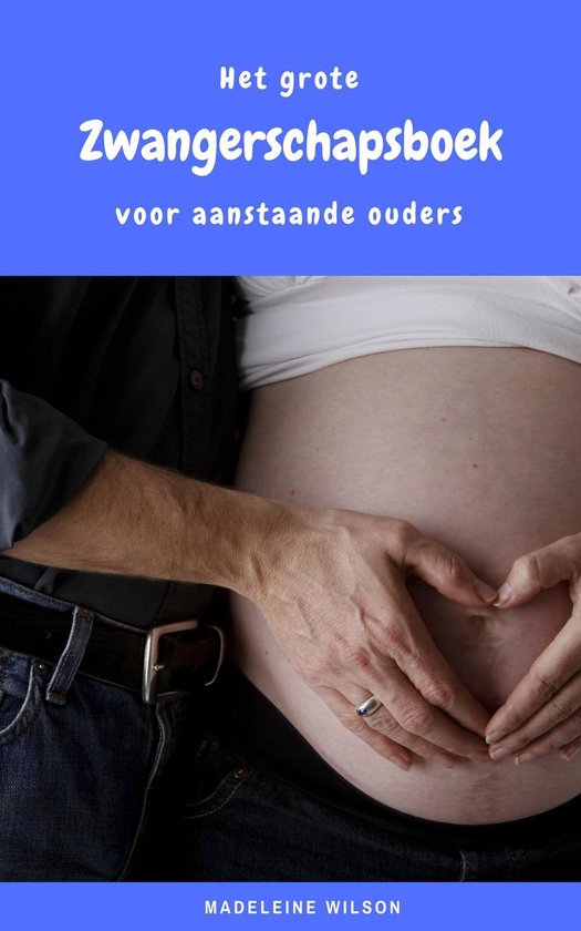 Het grote Zwangerschapsboek voor aanstaande ouders