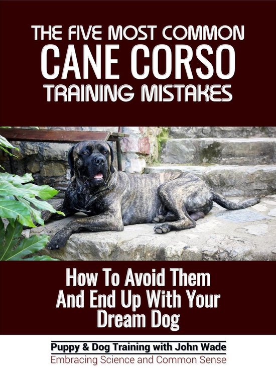 The Five Most Common Cane Corso Training Mistakes