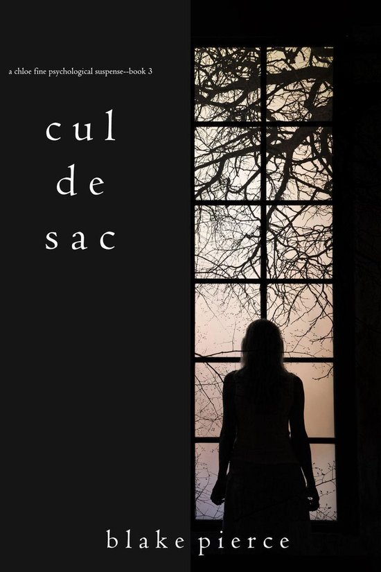 A Chloe Fine Psychological Suspense Mystery 3 - Cul de Sac (A Chloe Fine Psychological Suspense Mystery—Book 3)