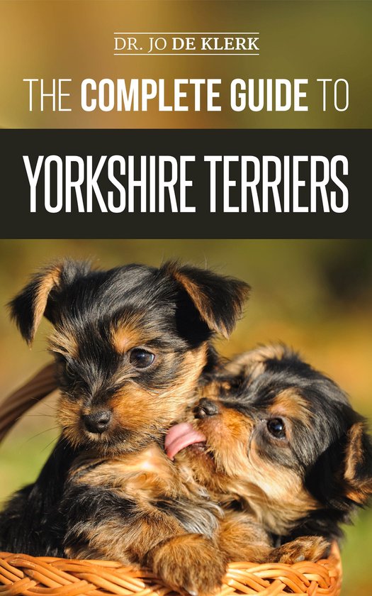 The Complete Guide to Yorkshire Terriers