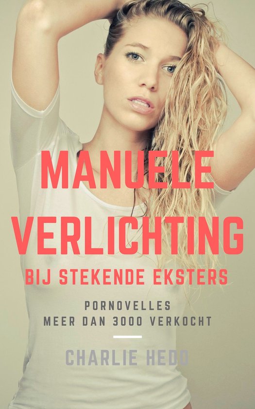 Manuele Verlichting bij Stekende Eksters