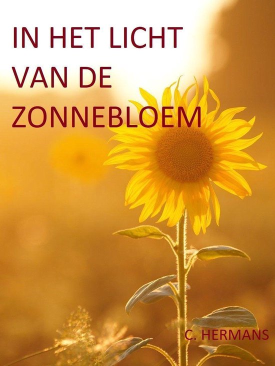 IN HET LICHT VAN DE ZONNEBLOEM