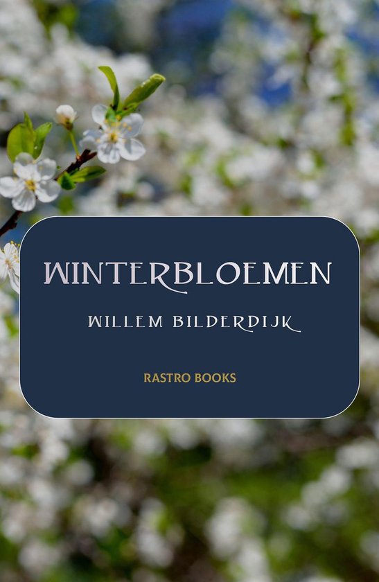 Winterbloemen