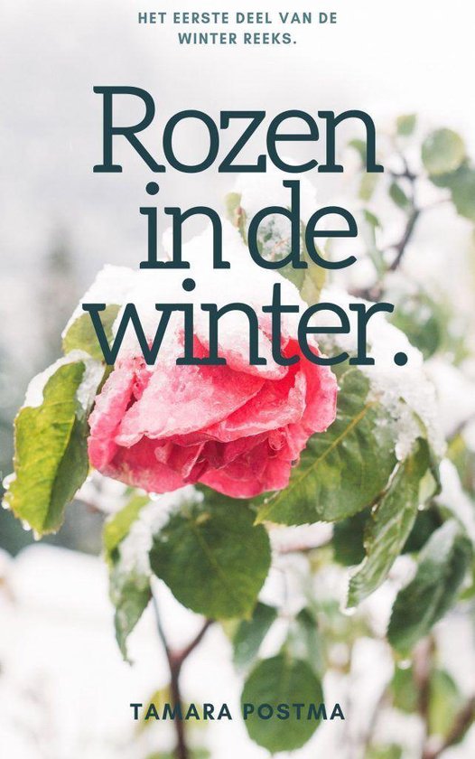 Seizoenenreeks 10 - Rozen in de winter.