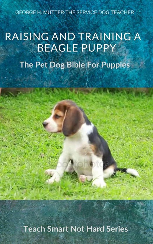 Teach Smart Not Hard 7 - Raising And Training A Beagle Puppy
