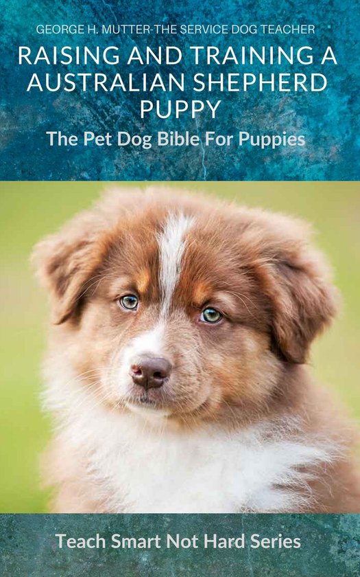 Teach Smart Not Hard 15 - Raising And Training An Australian Shepherd Puppy