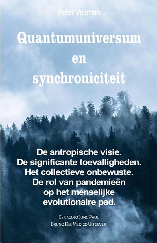 Quantumuniversum en synchroniciteit