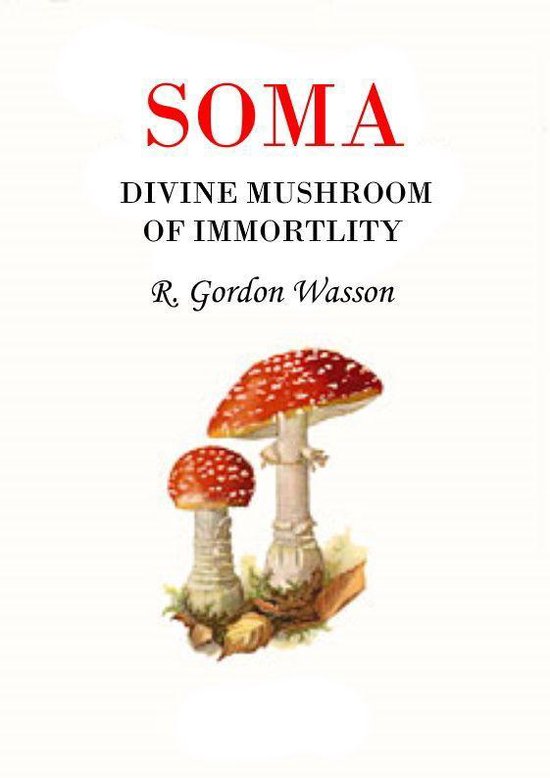 Soma Divine Mushroom Of Immortality