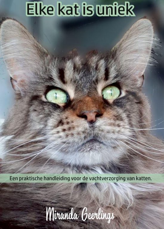 Elke kat is uniek