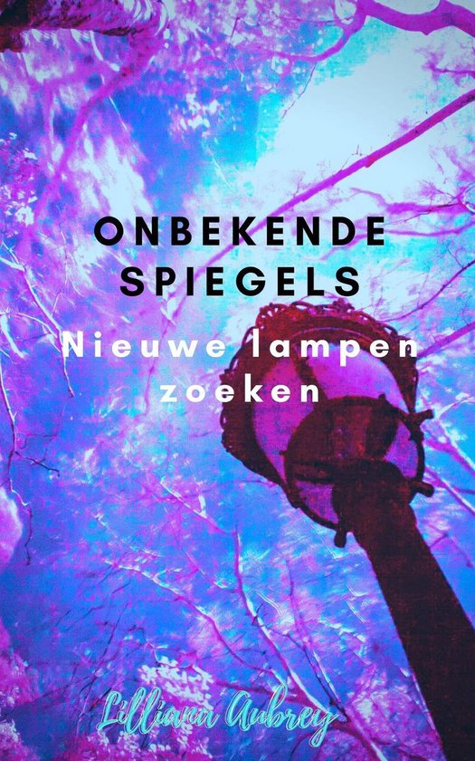 spiegels 2 - Onbekende spiegels