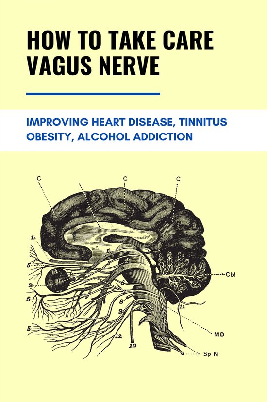 How To Take Care Vagus Nerve: Improving Heart Disease, Tinnitus, Obesity, Alcohol Addiction