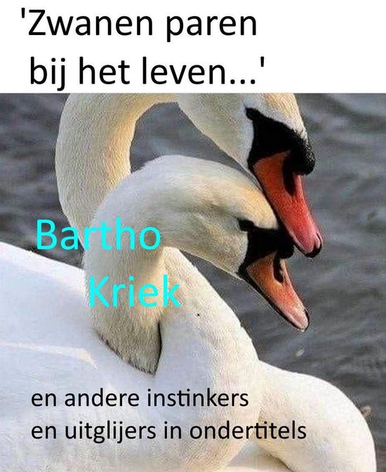 'Zwanen paren bij het leven...'