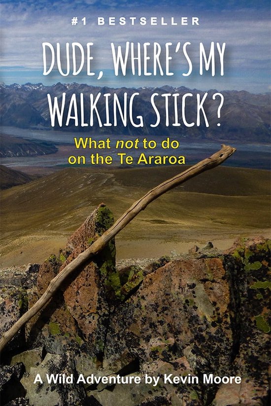 Dude, Where's My Walking Stick?