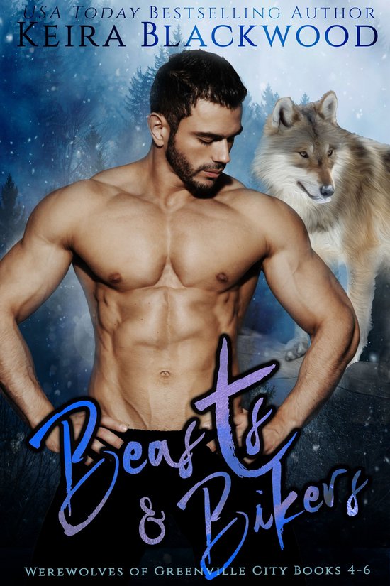 Shifter Protectors Box Sets 3 - Beasts & Bikers