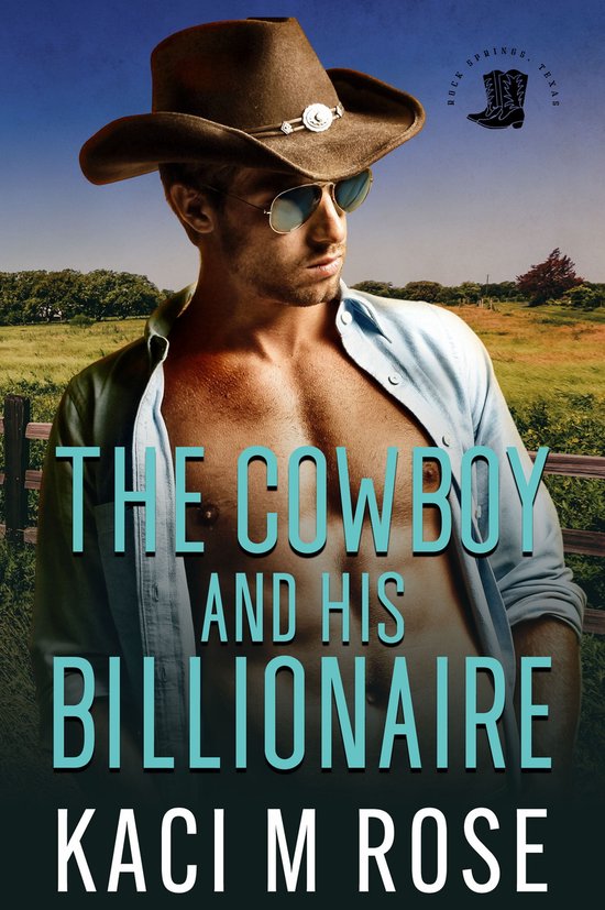 Cowboys of Rock Springs, Texas 6 - The Cowboy and His Billionaire