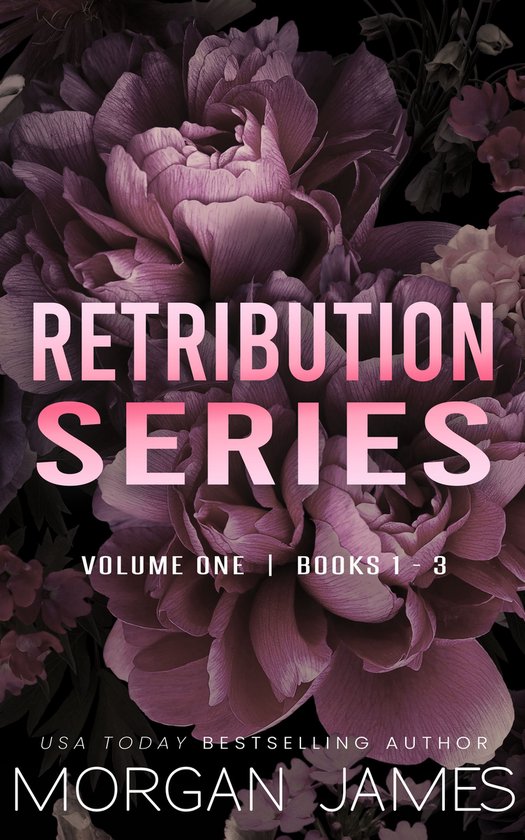 Retribution Series 9 - Retribution Series Box Set 1