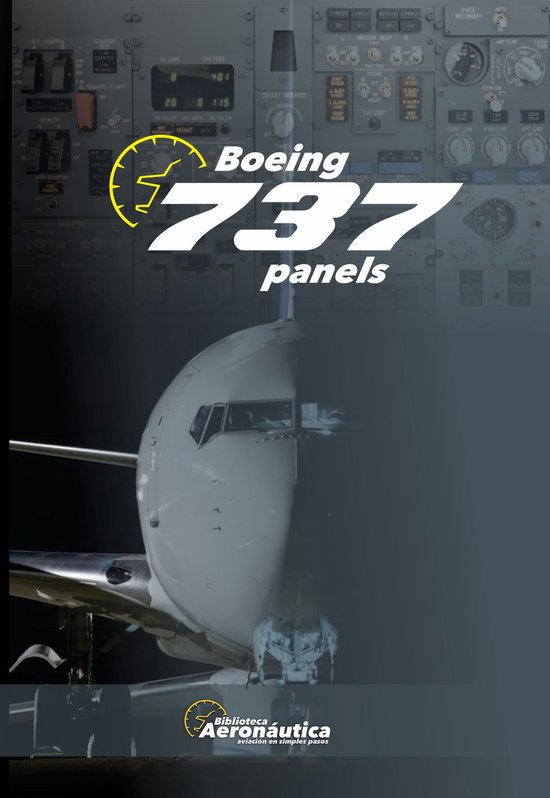 Boeing 737 panels