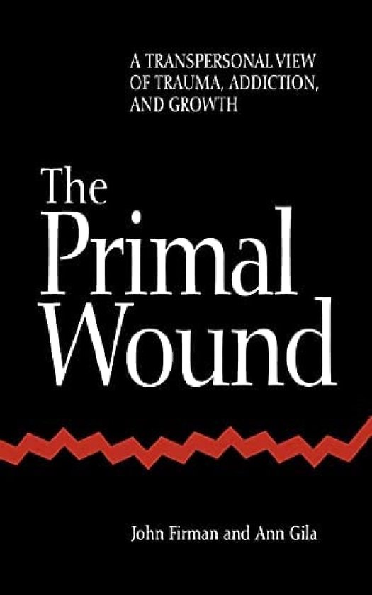 The Primal Wound: A Transpersonal View of Trauma, Addiction, and Growth (S U N Y Series in the Philosophy of Psychology) (Suny the Philosophy of Psychology)