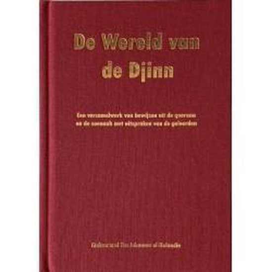 De Wereld van de Djinn