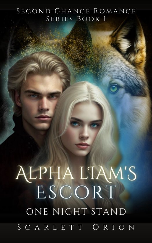 Second Chance Romance Series 1 - Alpha Liam's Escort