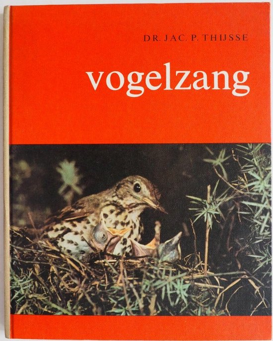 Vogelzang