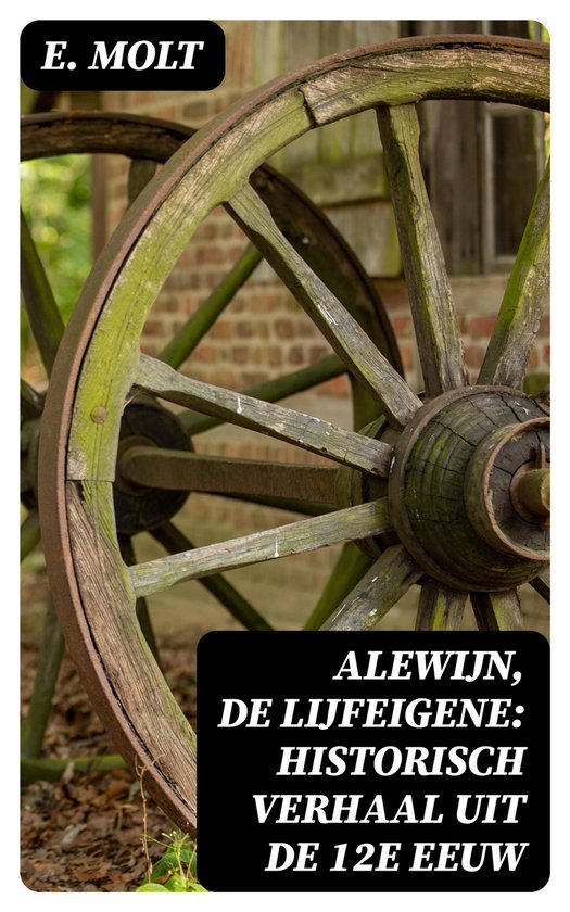 Alewijn, de Lijfeigene: Historisch verhaal uit de 12e eeuw