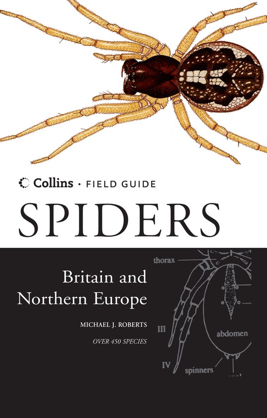 Field Guide Spiders Britain Northern Eur