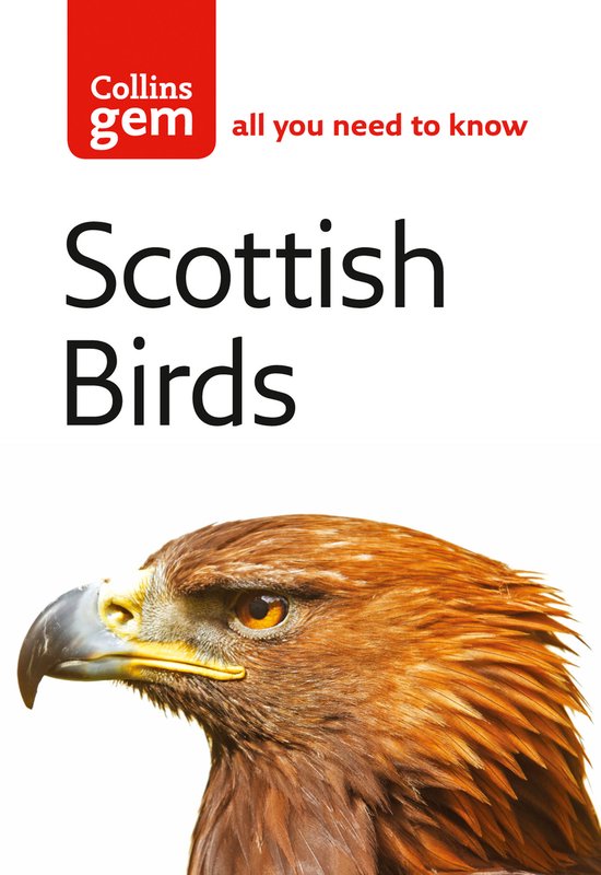 Gem Scottish Birds