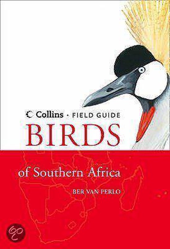 Birds Of Southern Africa