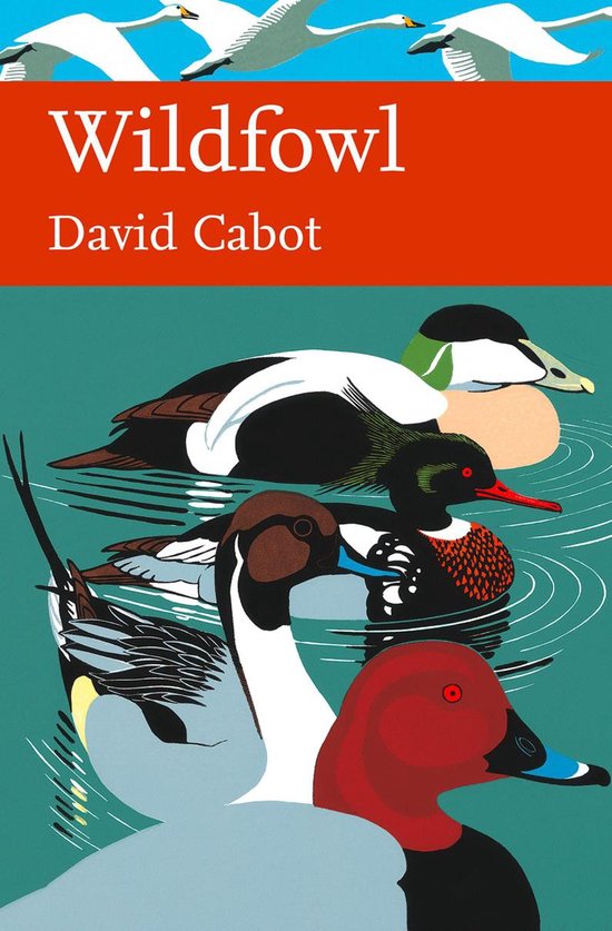 Collins New Naturalist Library 110 - Wildfowl (Collins New Naturalist Library, Book 110)