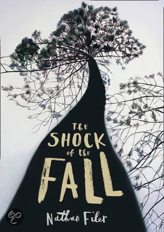 The Shock of the Fall