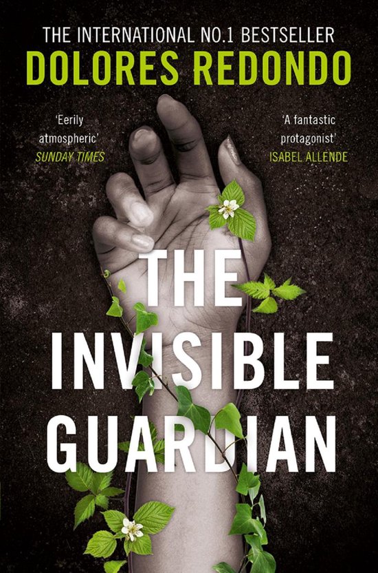 The Baztan Trilogy 1 - The Invisible Guardian (The Baztan Trilogy, Book 1)