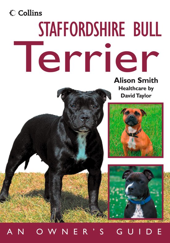 Staffordshire Bull Terrier: An Owner’s Guide