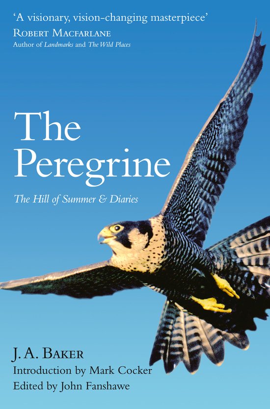 Peregrine