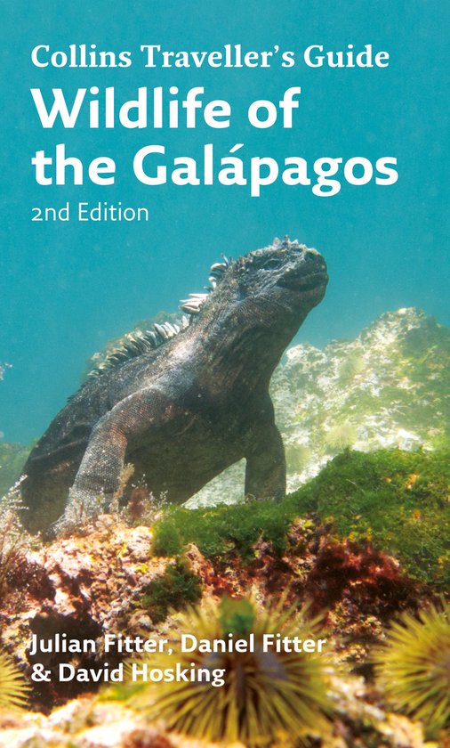 Wildlife Of The Galapagos