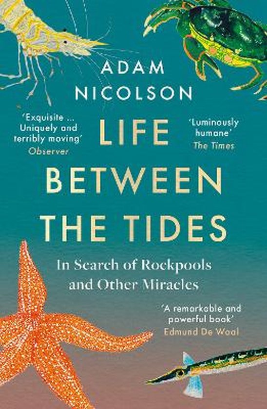 Life Between the Tides