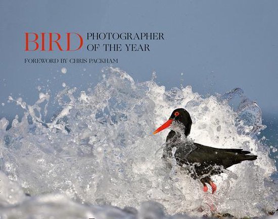 Bird Photographer Of Year Coll 5