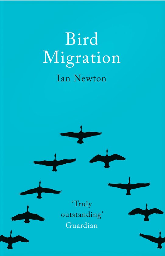 Bird Migration