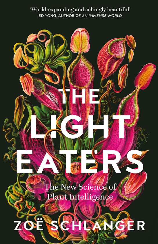 The Light Eaters