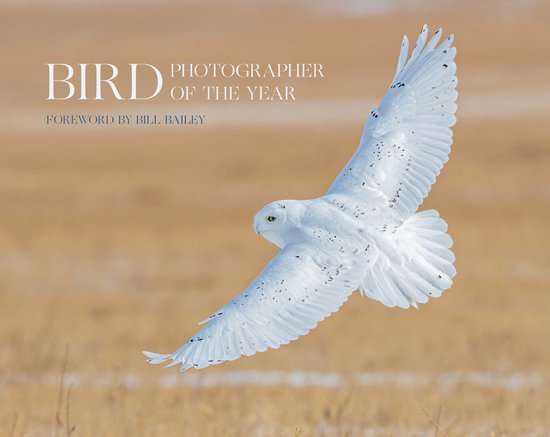 Bird Photographer of the Year- Bird Photographer of the Year