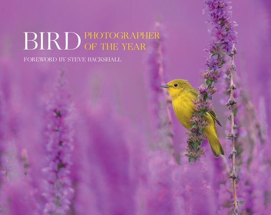 Bird Photographer of the Year- Bird Photographer of the Year