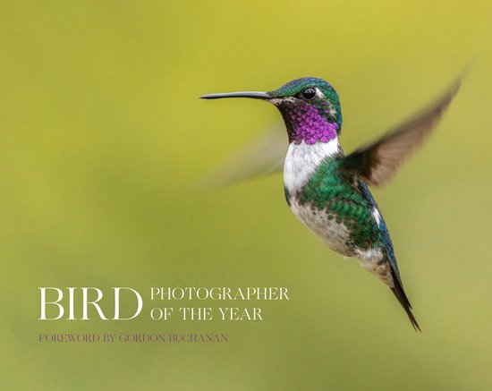 Bird Photographer of the Year- Bird Photographer of the Year