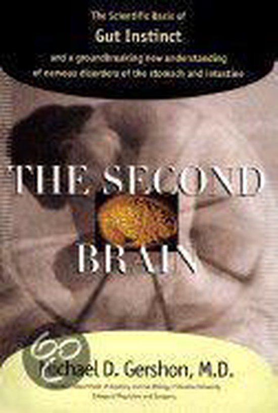 The Second Brain