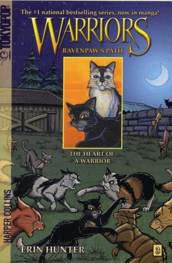 Warriors Ravenpaws Path 3 Heart Of A Wa