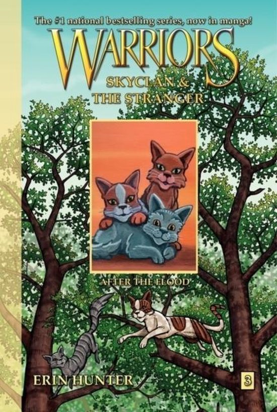 Warriors SkyClan & Stranger Bk3 After