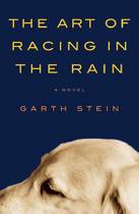 The Art Of Racing In The Rain